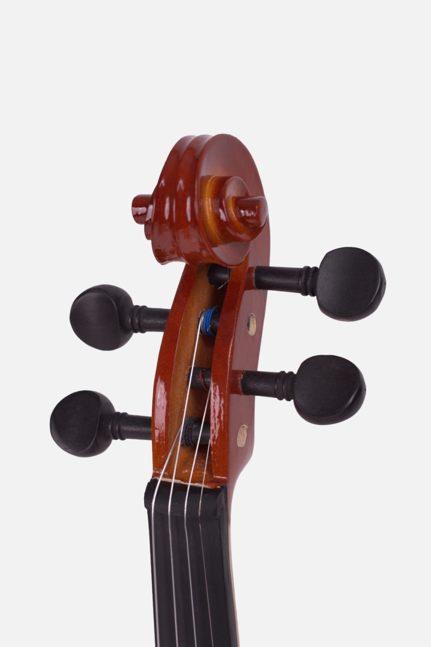 Havana Violin